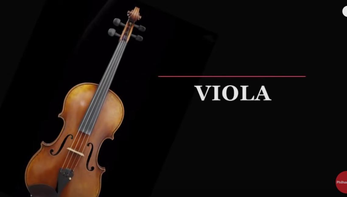 The Viola